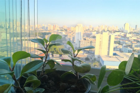 APARTAMENTO A VENDA EM SP BELÉM