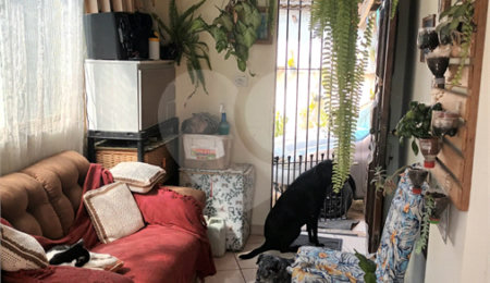 Casa à venda com 3 quartos em Cidade Patriarca, São Paulo, SP