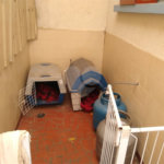 Sobrado à venda com 4 quartos, sendo 3 suítes,  em Vila Monumento, São Paulo, SP