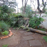 Casa à venda com 4 quartos, sendo 2 suítes,  em Jardim Bonfiglioli, São Paulo, SP
