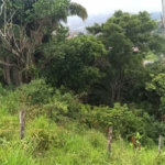 Terreno Residencial à venda, Perequê, Ilhabela - TE0008.