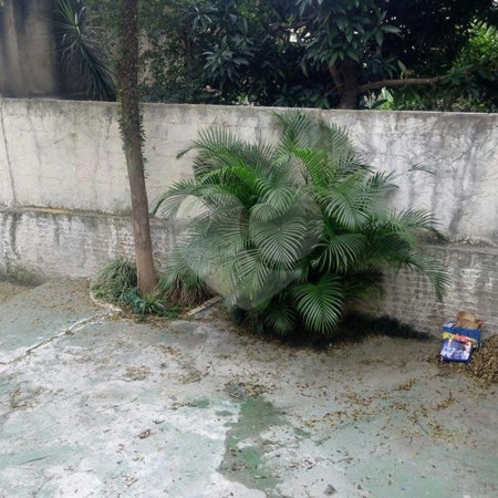 Casa à venda com 2 quartos em Jardim Franca, São Paulo, SP