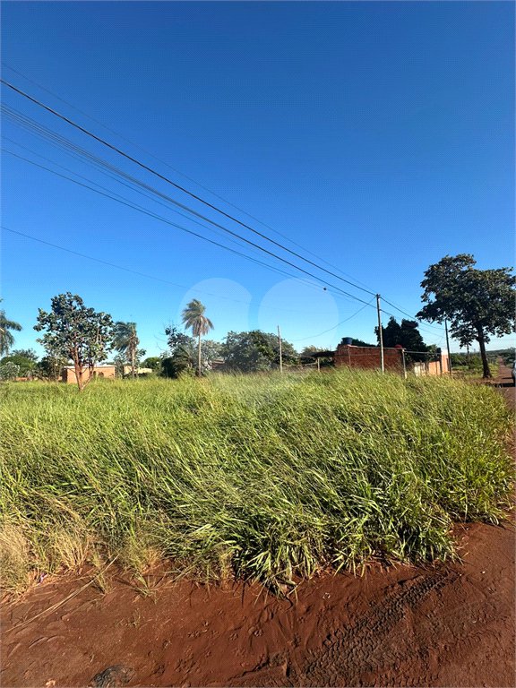 Terreno à venda em Pedro Juan Caballero, Amambay