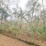 Terreno à venda no condomínio Vale da Santa Fé, Vinhedo - SP