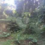 Chácara à venda com 3 quartos em Parque Alvorada, Suzano, SP