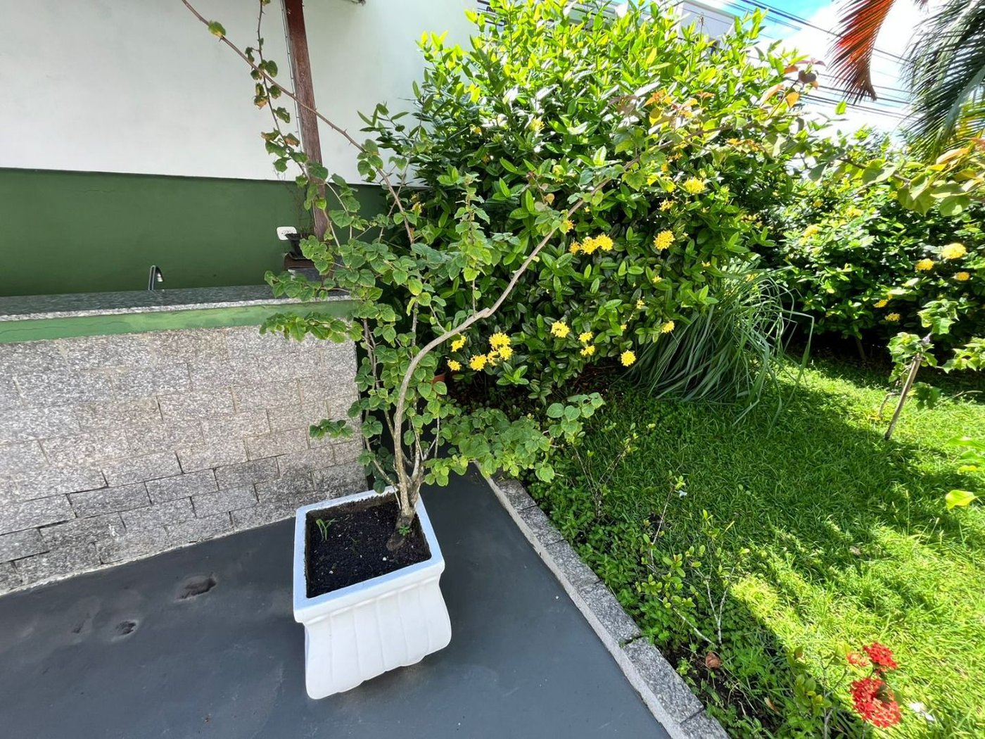 Apartamento à venda, 77 m² por R$ 480.000,00 - Jardim Las Palmas - Guarujá/SP