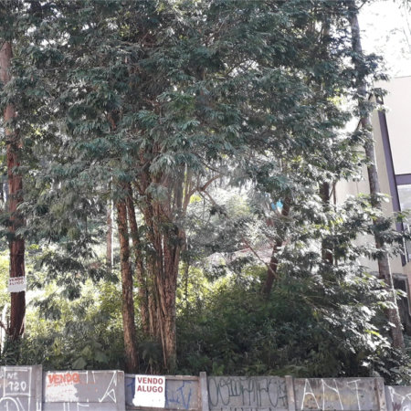 Terreno à venda ou para alugar em Vila Andrade, São Paulo, SP