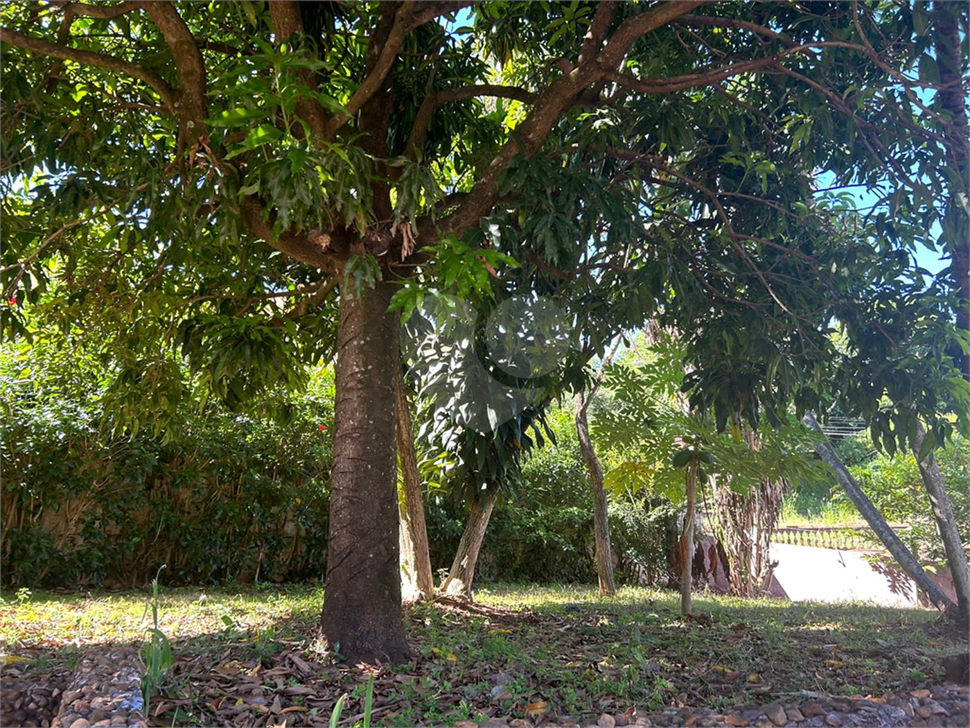 Casa para alugar com 6 quartos, sendo 3 suítes, no Centro, São Manuel, SP