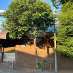 Sobrado à venda com 5 quartos, sendo 2 suítes, em Vila Monte Alegre, Ribeirão Preto, SP