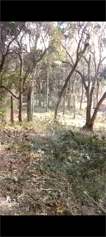 Terreno à venda em Luiz Fagundes, Mairiporã, SP
