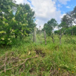 Terreno à venda em Chácaras do Guacuri, Itupeva, SP