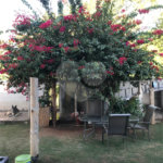 Casa à venda com 5 quartos, sendo 3 suítes, em Loteamento Jardim Morumbi, Atibaia, SP