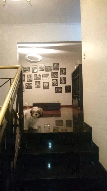 Sobrado à venda com 5 quartos, sendo 2 suítes, em Brooklin Paulista, São Paulo, SP
