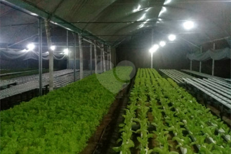 Sítio à venda com 2 quartos em Mogi das Cruzes, SP