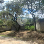 Terreno à venda em Serra da Cantareira, Mairiporã, SP