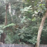 Terreno à venda em Tucuruvi, São Paulo, SP