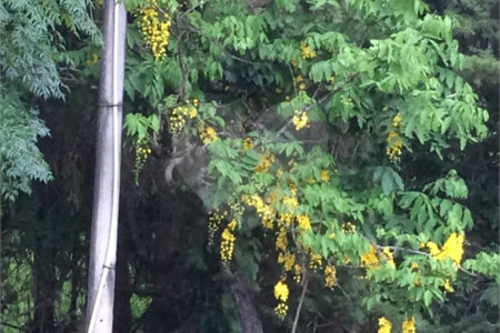 Chácara à venda com 8 quartos, sendo 3 suítes, no Centro, Bom Jesus dos Perdões, SP