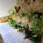 Casa à venda com 3 quartos, sendo 1 suíte,  em Jardim Rosa de Franca, Guarulhos, SP