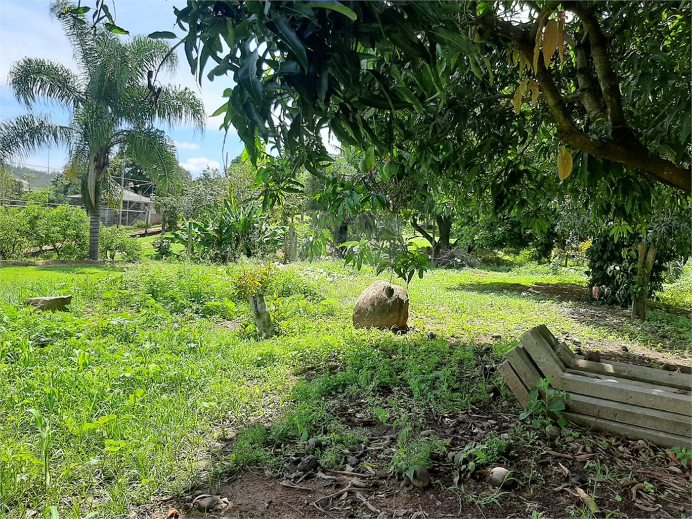 Terreno à venda em Cachoeira, Vinhedo, SP