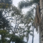 Casa à venda com 5 suítes em Roseira, Mairiporã, SP