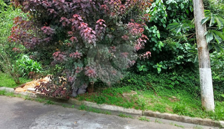 Terreno à venda no condomínio Cantareira, Mairiporã - SP