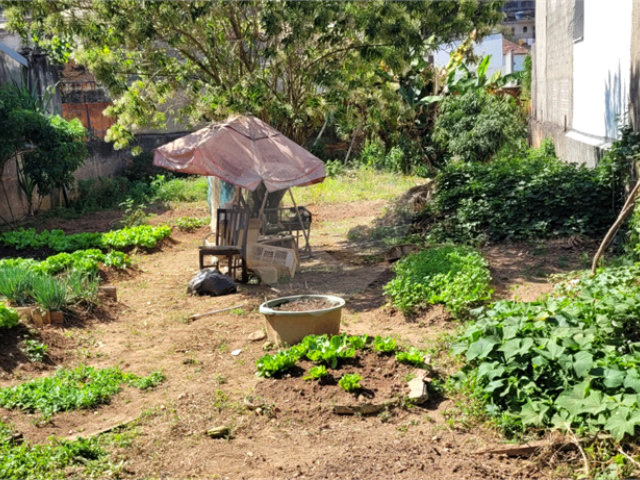 Terreno à venda em Tucuruvi, São Paulo, SP