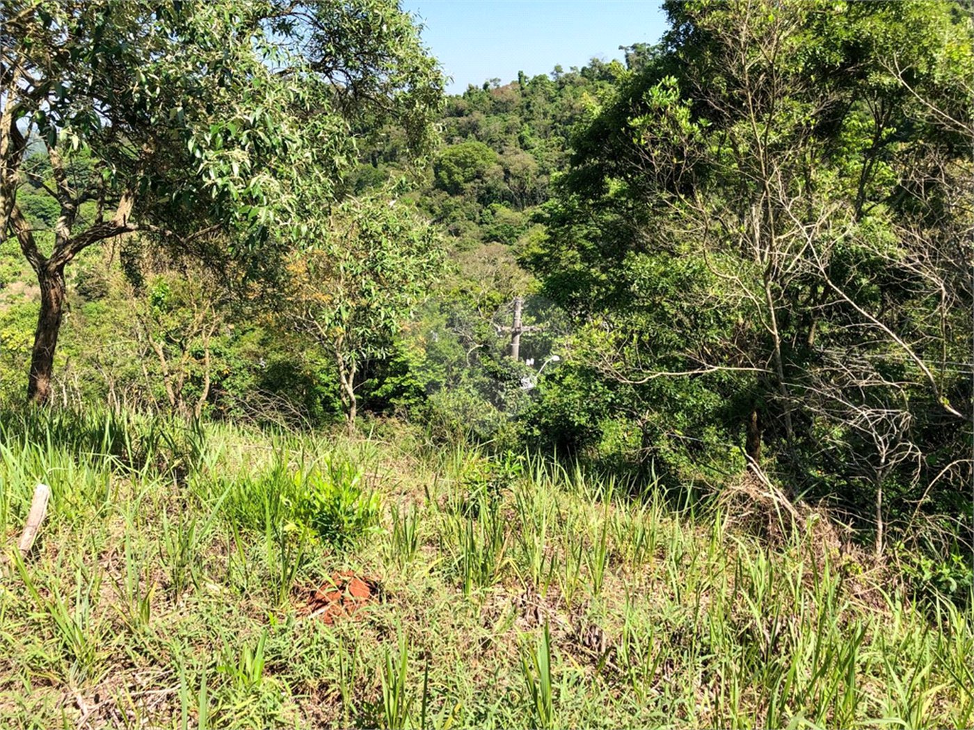 Terreno à venda em Bairro do Cambará, São Roque, SP