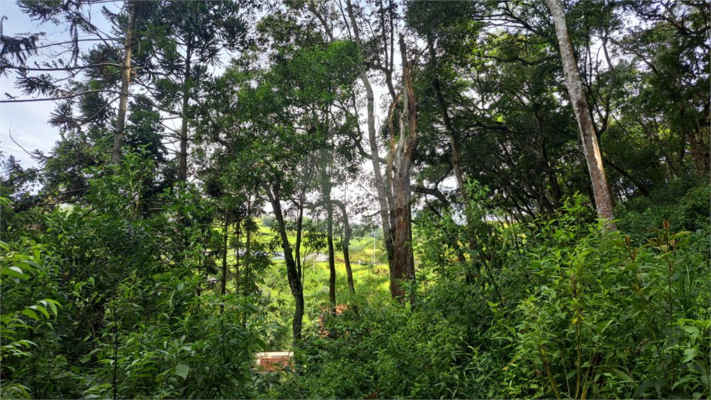 Terreno à venda em Serra da Cantareira, Mairiporã, SP