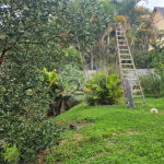 Casa à venda com 3 suítes em Condomínio Portal dos Nobres, Atibaia, SP