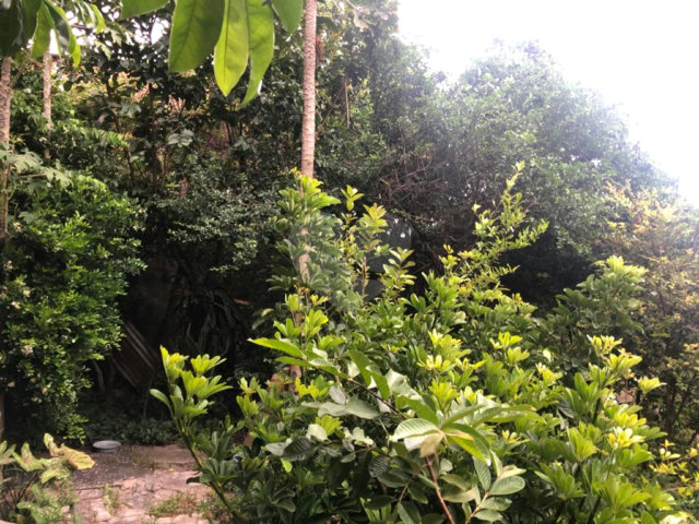 Casa Térrea à venda com 2 quartos em Casa Verde, São Paulo, SP