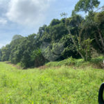 Terreno à venda em Parque Santa Rosa, Suzano, SP