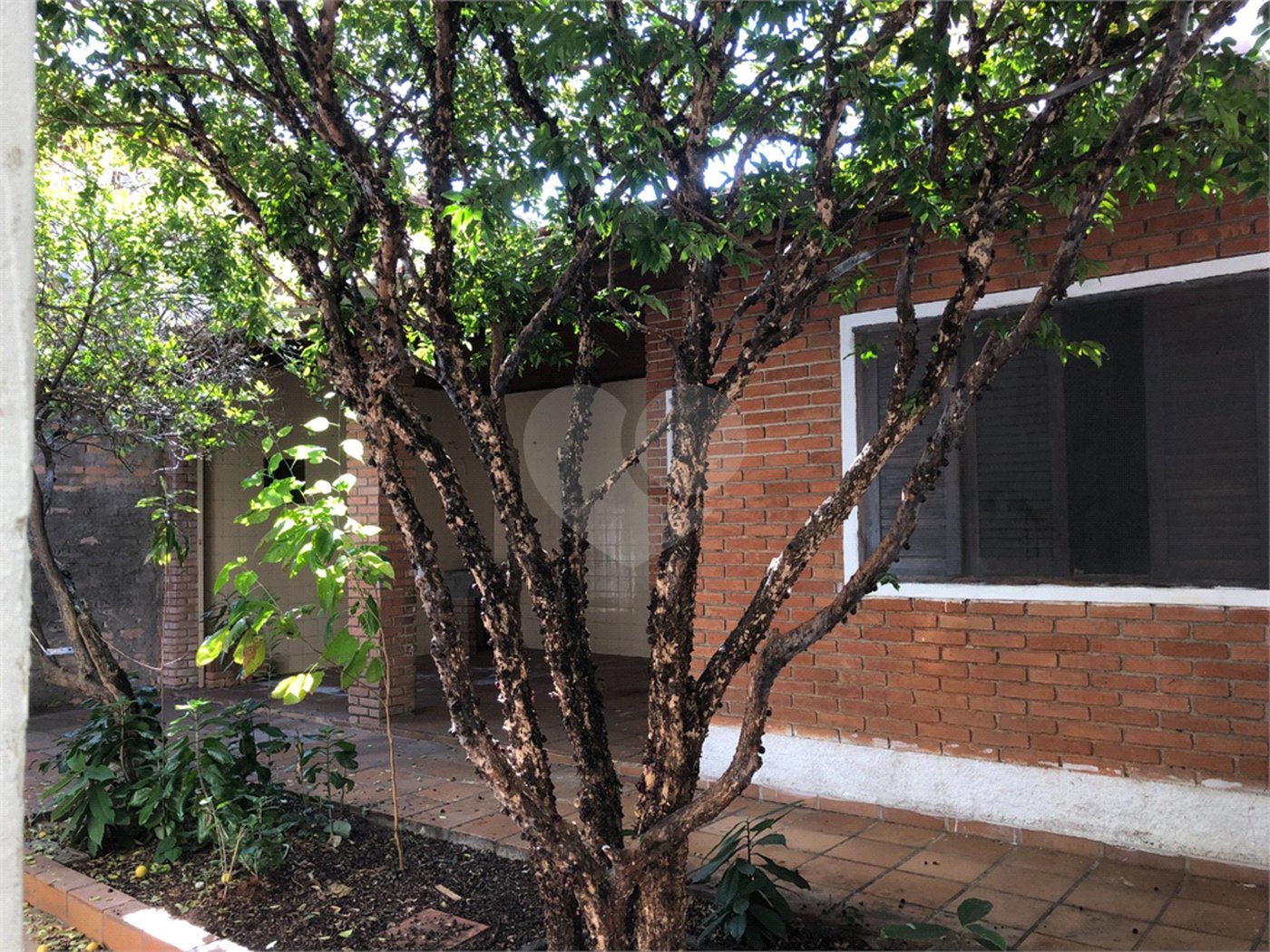 Casa Térrea à venda com 3 quartos em Vila Mazzei, São Paulo, SP
