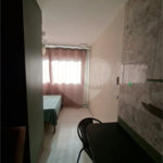 Apartamento para alugar com 1 quarto em Vila Mazzei, São Paulo, SP
