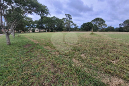 Loteamento Residencial no Condomínio Vila Pinhal do Broa