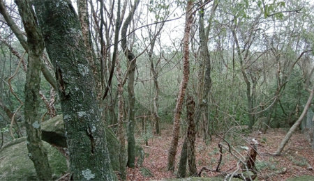 Terreno à venda em Chácaras Alpina, Valinhos, SP