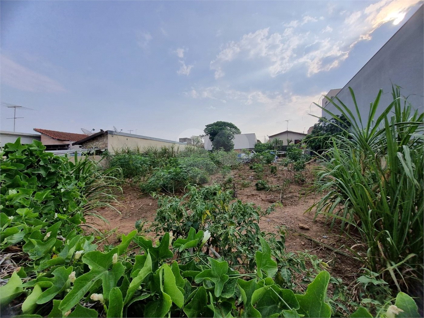 Terreno para alugar em Nova Vinhedo, Vinhedo, SP