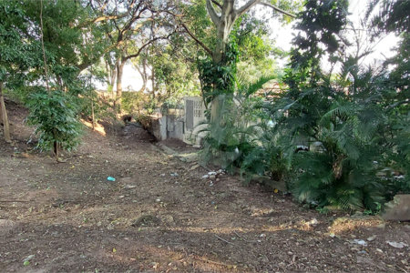 Terreno à venda em Santana, São Paulo, SP