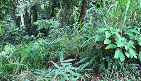 Terreno à venda no condomínio Gleba E1 E2, Mairiporã - SP