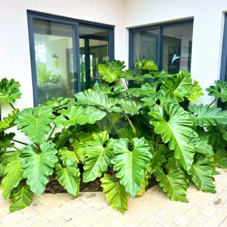 Casa à venda com 5 suítes no condomínio Terras de São José, Itu - SP