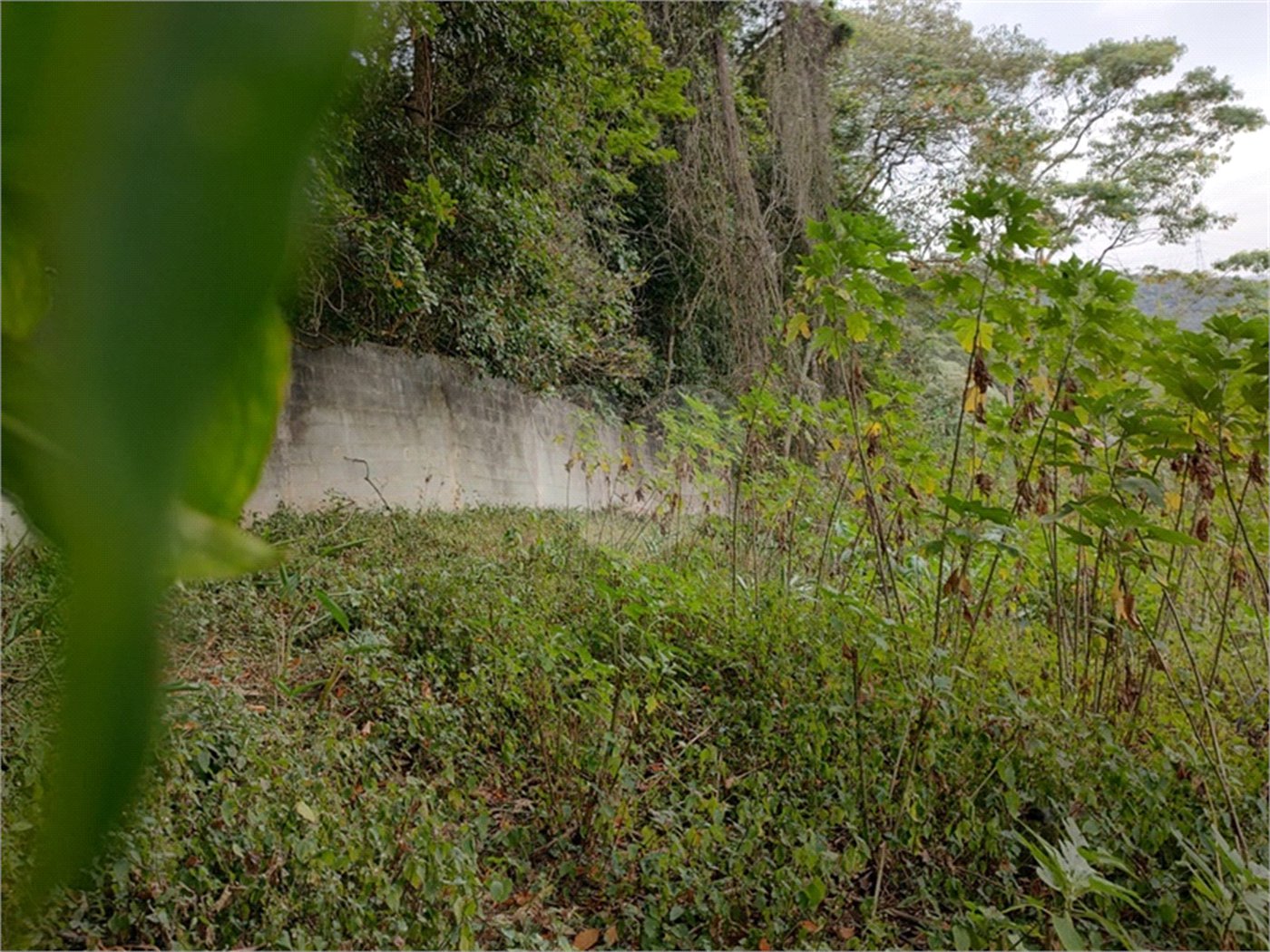 Terreno à venda em Barro Branco (zona Norte), São Paulo, SP