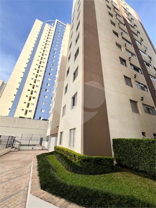 Apartamento para alugar com 3 quartos em Vila Mascote, São Paulo, SP