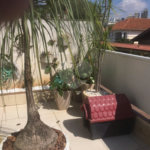Casa à venda com 4 quartos, sendo 3 suítes, em Jardim São Paulo(zona Norte), São Paulo, SP