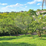 Terreno à venda em Marambaia, Vinhedo, SP