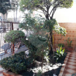 Sobrado à venda com 2 quartos em Freguesia do Ó, São Paulo, SP