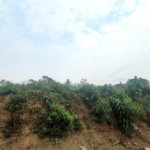 Terreno à venda no condomínio Alpes da Cantareira, Mairiporã - SP