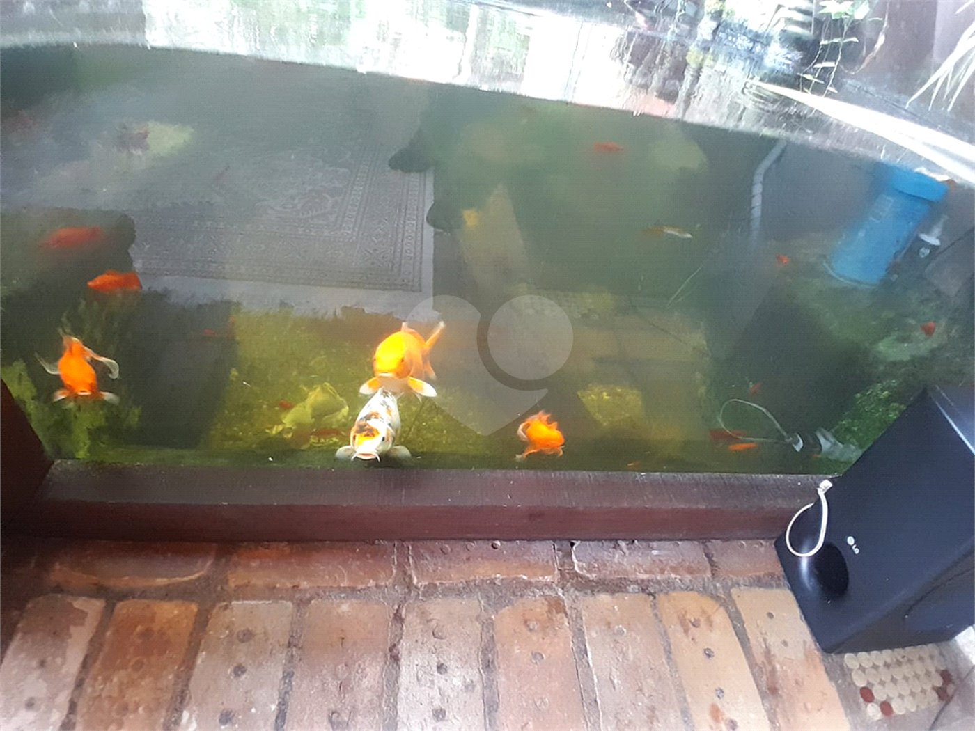 Sobrado à venda ou para alugar com 3 suítes em Serra da Cantareira, Mairiporã, SP