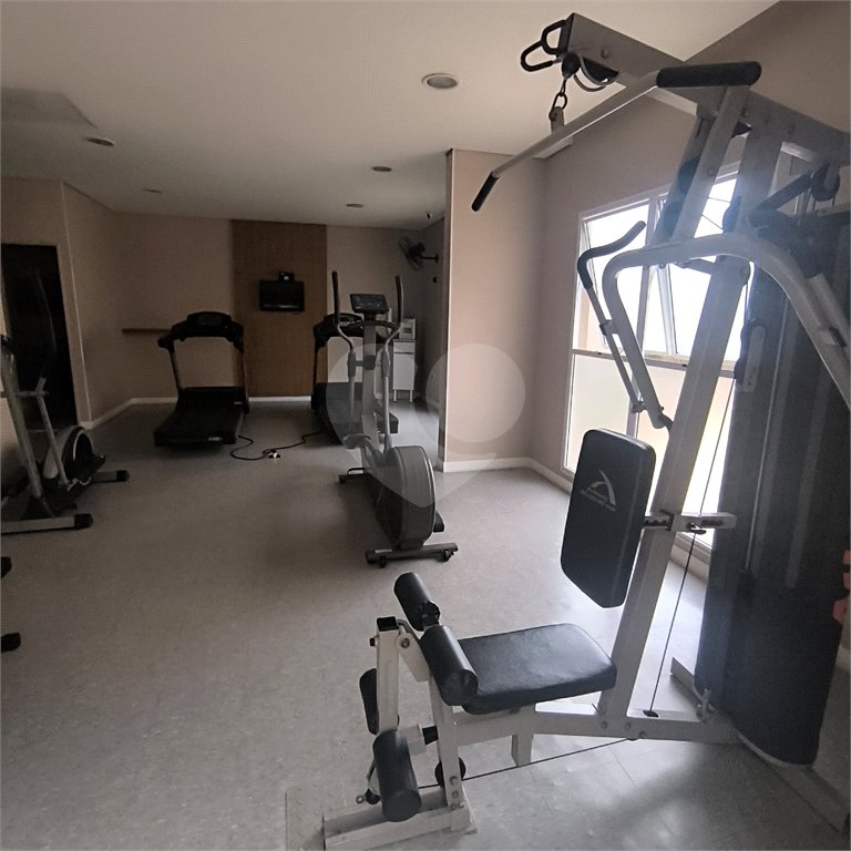 Apartamento à venda com 3 quartos, sendo 1 suíte,  em Cambuci, São Paulo, SP