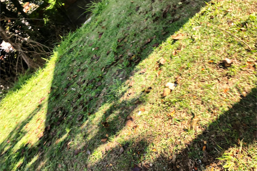 Terreno à venda em Horto, São Paulo, SP