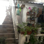 Casa à venda com 3 quartos em Jardim Regina, São Paulo, SP