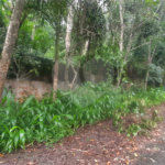 Terreno à venda no condomínio Associação Reserva das Hortênsias, Mairiporã - SP